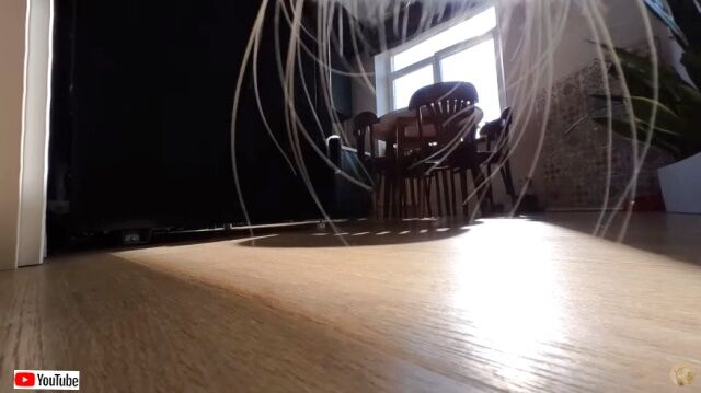 20230420_112805 (4)_batch