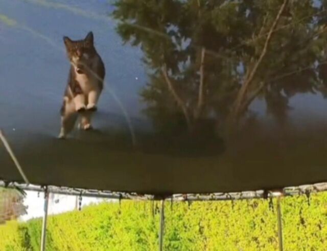 20240207_120205 (3)_batch