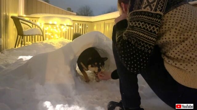 20230118_003912 (3)_batch