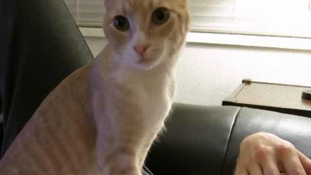 charlie-1_e