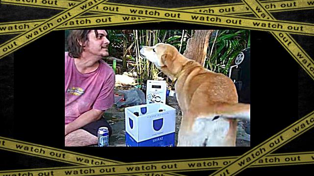 dingo1a-frame