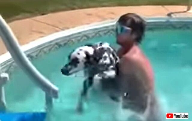 howtoswim5_640