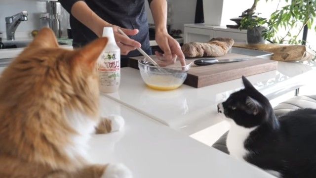junskitchen4_e