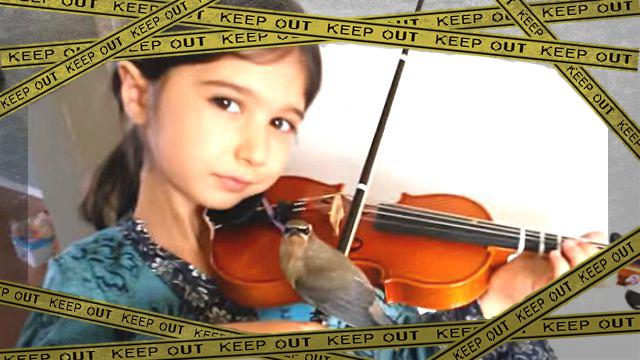 violin1-frame