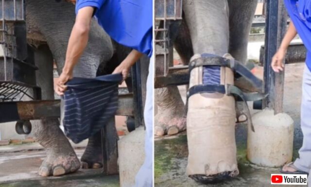 20231130_142744_batch