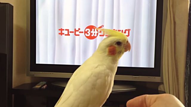 3mincooking3