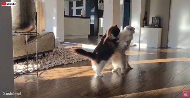 20230210_121724 (4)_batch