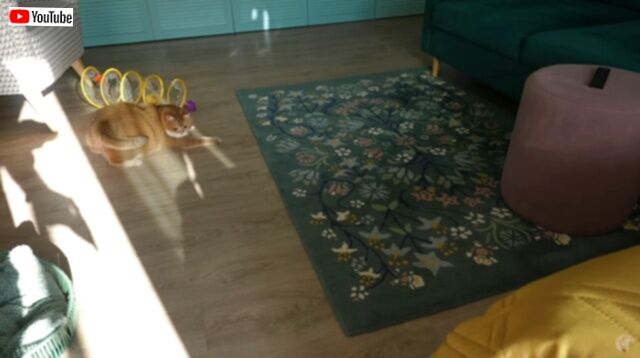 20230910_180233 (4)_batch