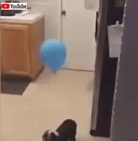 unexpected (2)