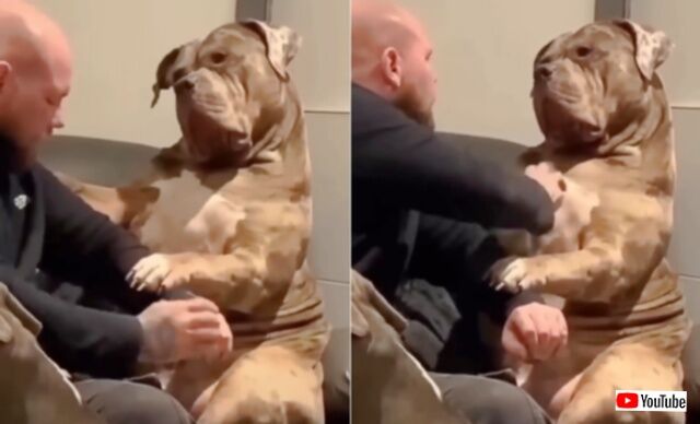 20231229_233334_batch