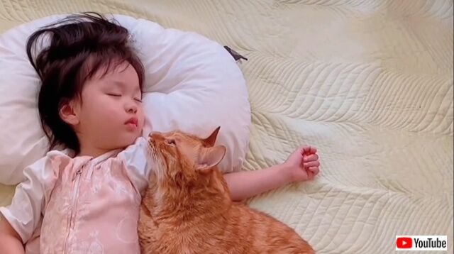 lovelypets1_640
