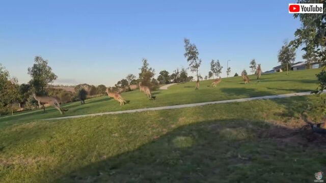 20220402_002950 (8)_batch