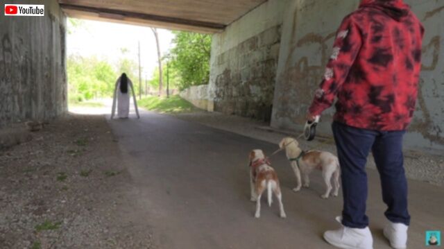 20230520_235839_batch