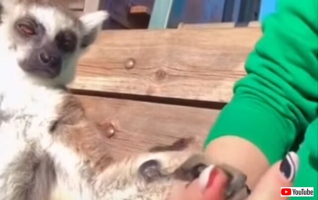 20220405_074448 (5)_batch