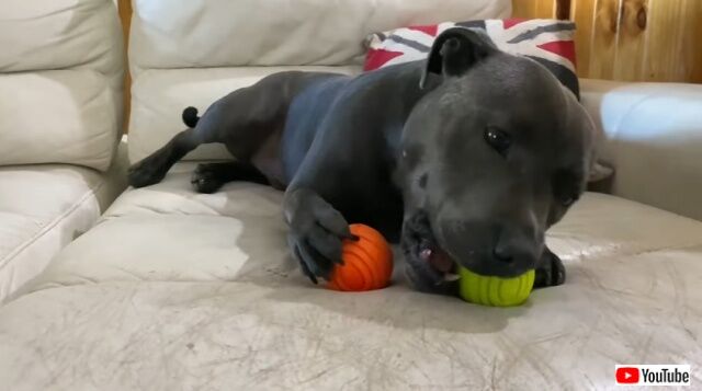 20220809_044102 (5)_batch