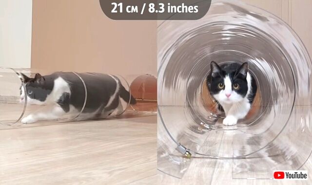 tube2_640