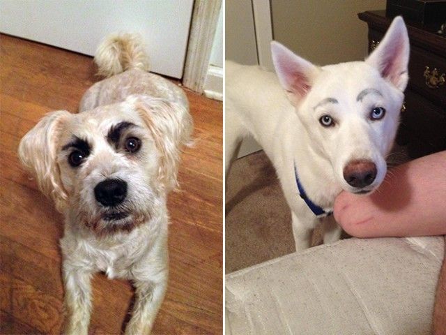 eyebrows5_e