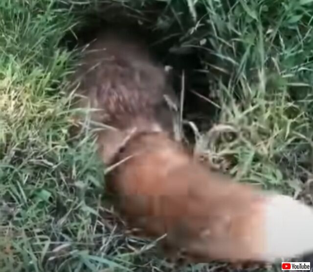 20220519_111602 (5)_batch