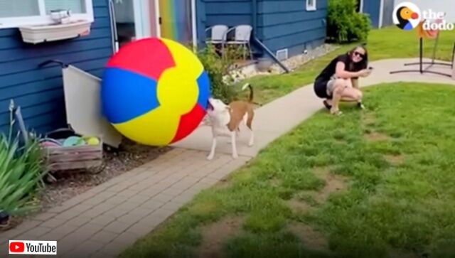 20230727_212310 (6)_batch