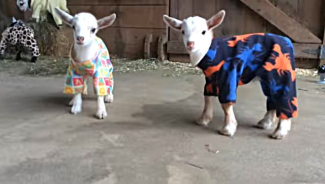 pajamaparty4
