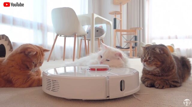 robotvacuum0_640
