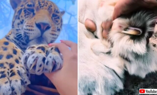 20240104_115108 (5)_batch