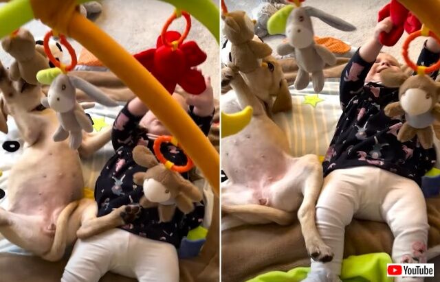 puppynbaby3_640