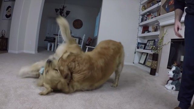 oshie6_e