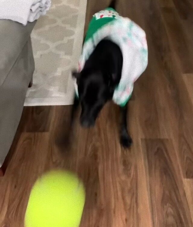 20240327_042444 (3)_e