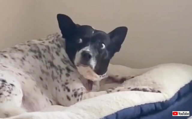 20221109_235517 (4)_batch