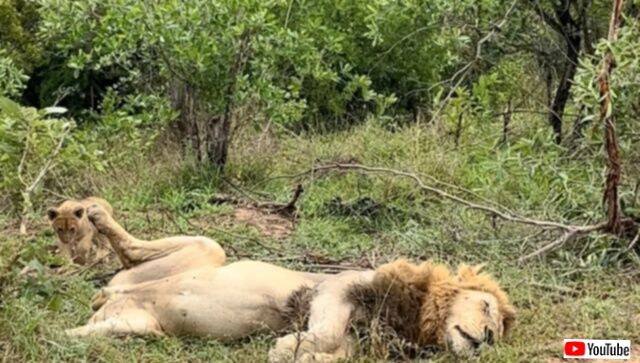 20231209_074032_batch