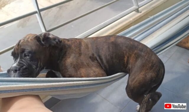 20231019_115426_batch