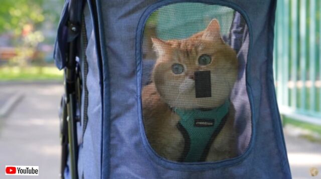 20230519_004413 (8)_batch