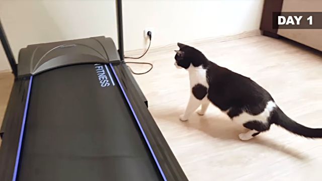 training1