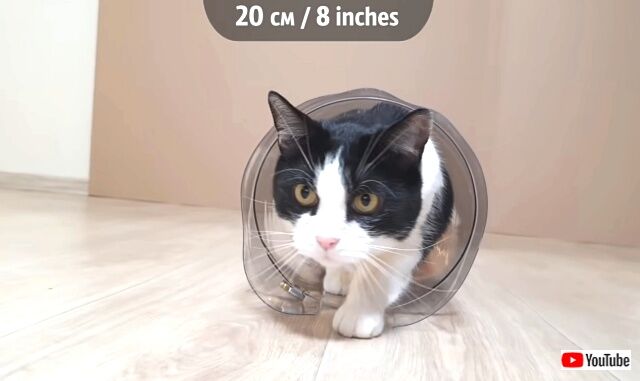 tube3_640