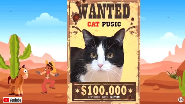 wildwest4_640