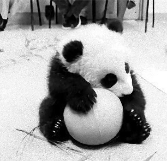 pandas10_e