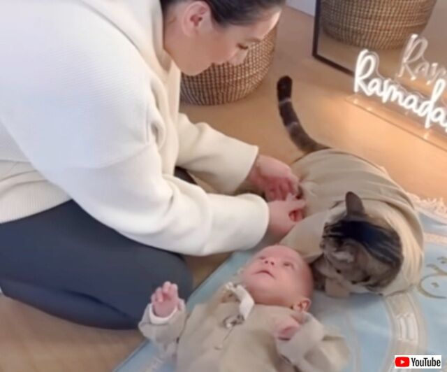 20240318_004757 (6)_batch