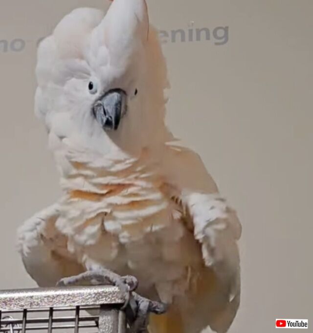 20230925_050957 (3)_batch