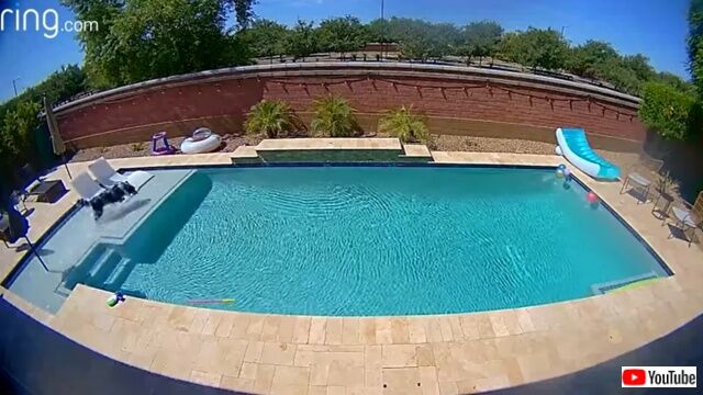 dognpool1_640