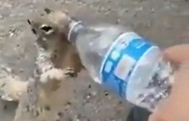 gimmewater0_e