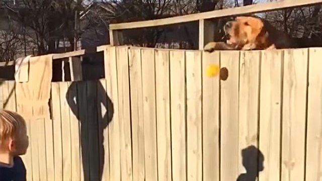 fetch5_e