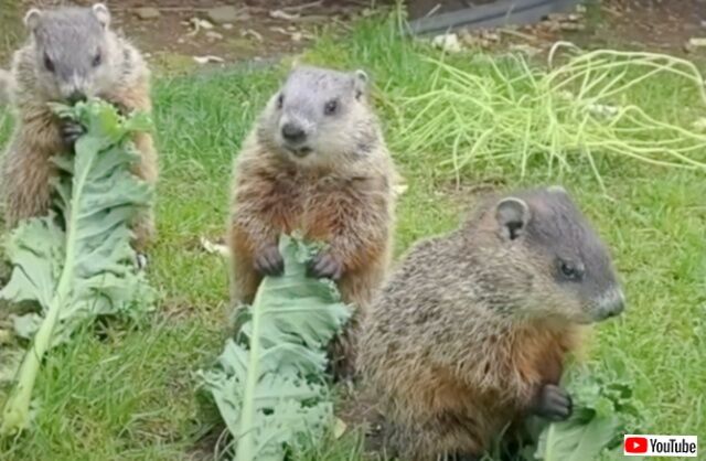 20230901_194703 (3)_batch