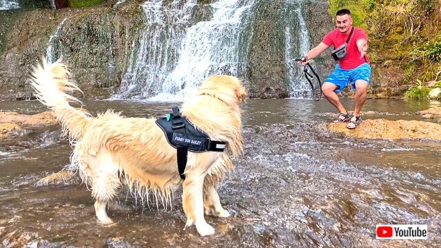 「お水が冷たくていい気持ち！」ゴールデン・レトリバーのベイリーくん、初めての滝に大興奮