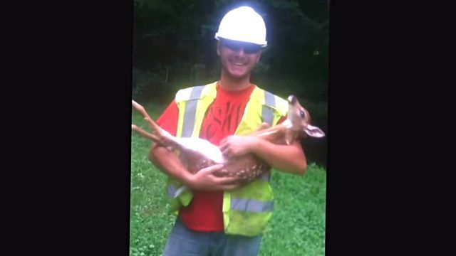 spoileddeer4