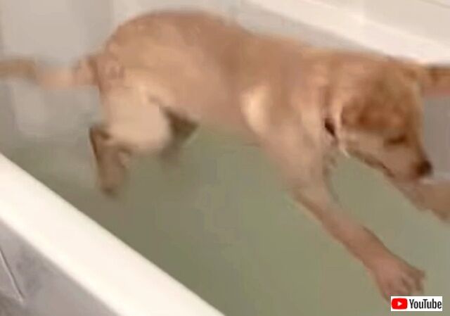 bathtime2_640