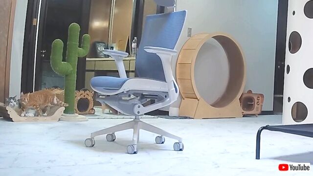 chair6_640