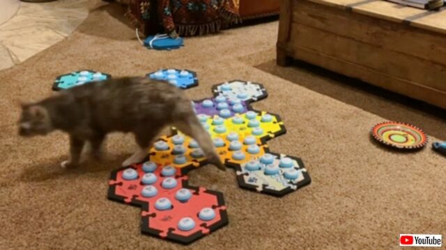 20240119_073418 (3)_batch