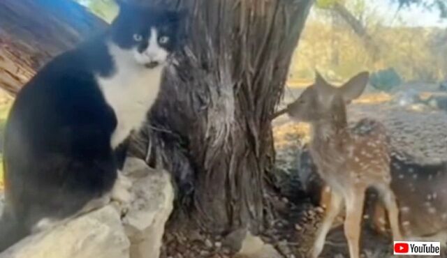 20230307_110928 (4)_batch