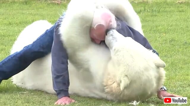 「ありがとう…」心が通じ合う瞬間がコレ！ニンゲンと野生の生き物たちの触れ合いシーン総集編